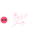 Bomibox Korean Beauty Box logo